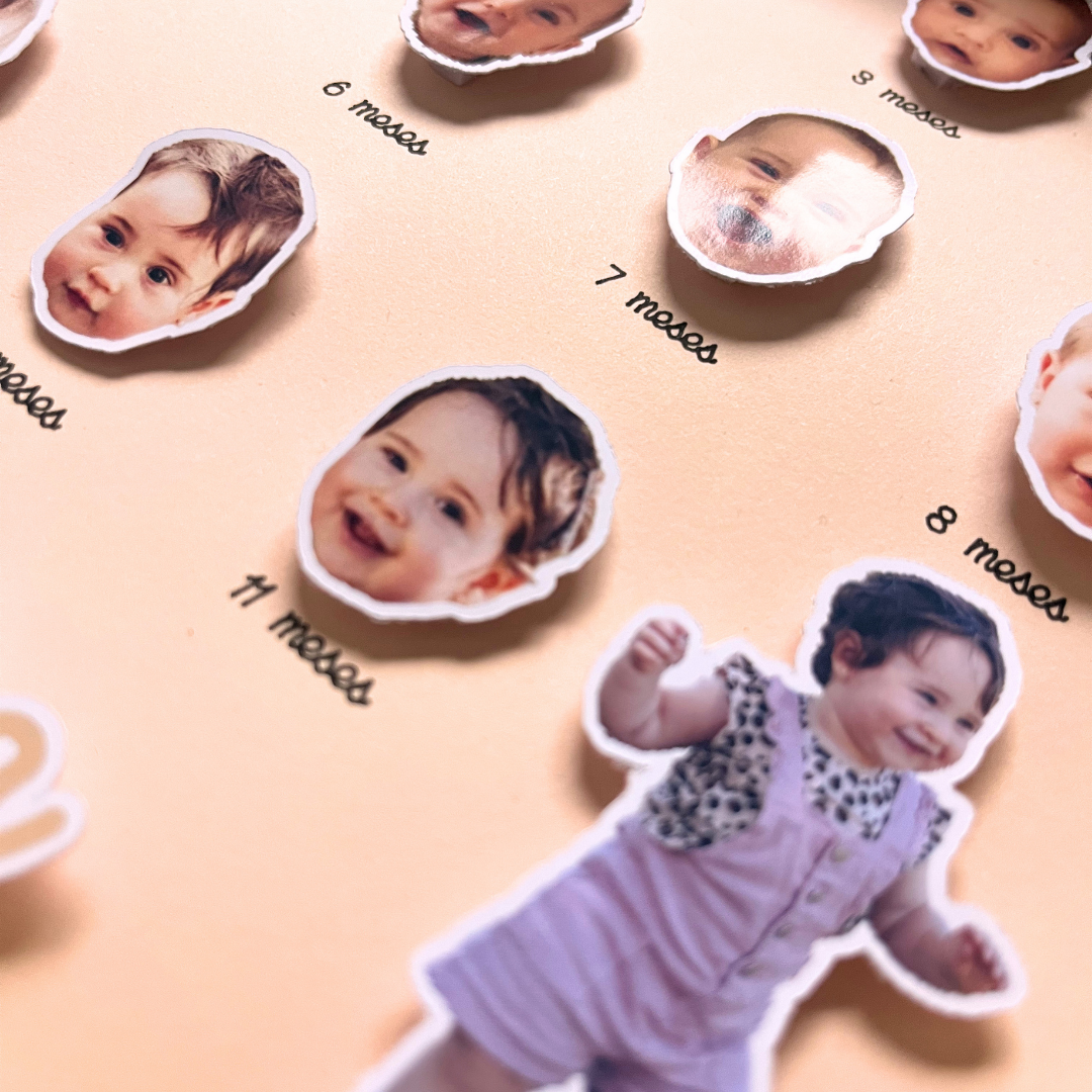 Cuadro "12 meses"