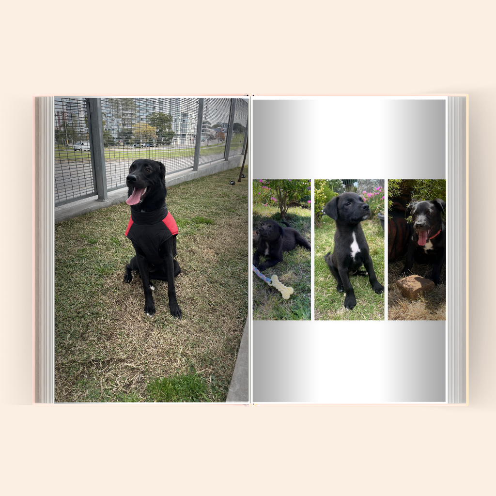 Libro Fotográfico de Mascotas Personalizado