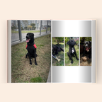 Libro Fotográfico de Mascotas Personalizado