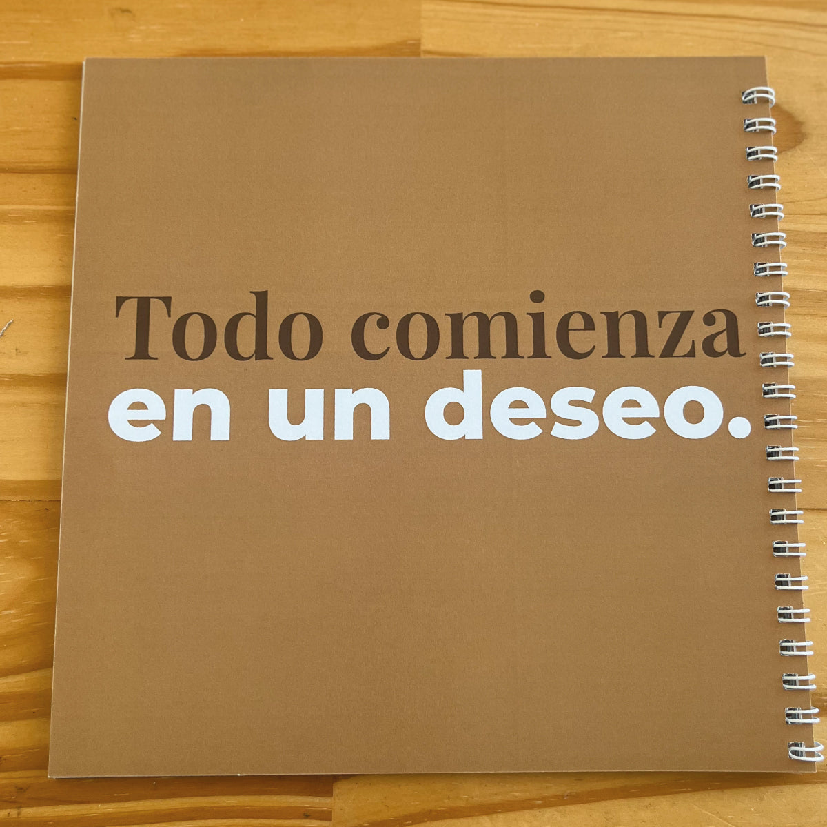 Diario "Antes de vos" – En la búsqueda del embarazo.