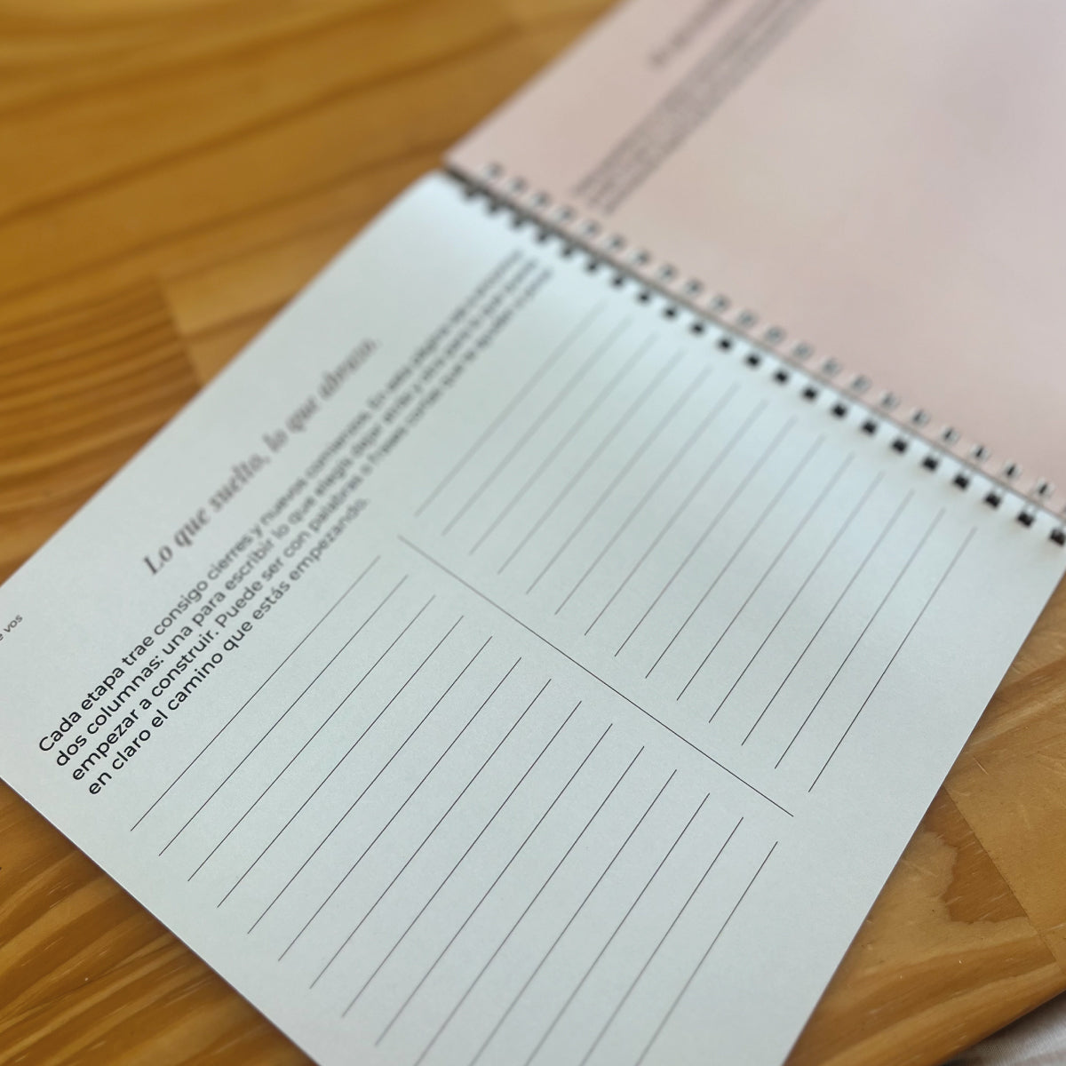 Diario "Antes de vos" – En la búsqueda del embarazo.