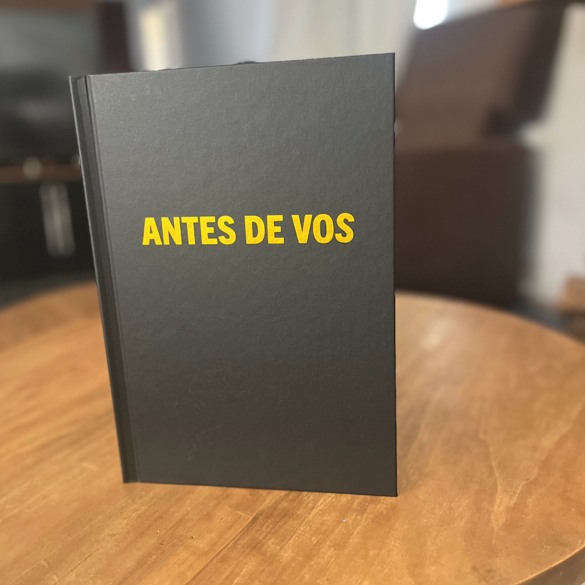 Antes de vos – En la búsqueda del embarazo.